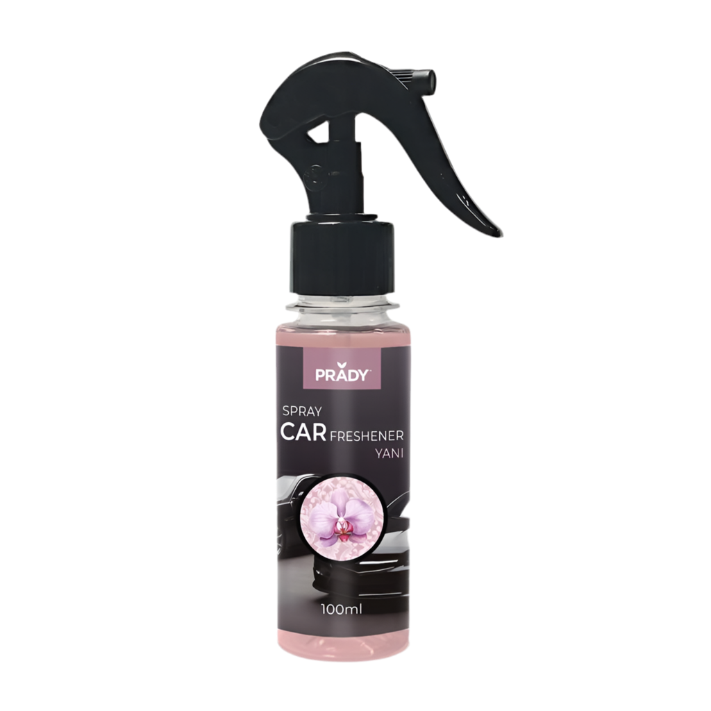 Spray pour voiture - Yani